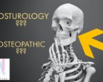 posturology ช่วยกำจัดโรคกระดูกพรุนได้อย่างไร?